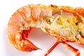Eaten lobster shell on white background close up Royalty Free Stock Photo