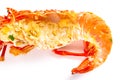 Eaten lobster shell on white background Royalty Free Stock Photo