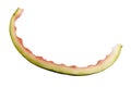 Eaten piece of watermelon, crust. Royalty Free Stock Photo