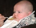 Eating Baby Royalty Free Stock Photo