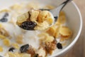 Eating corn flakes with fruits and nuts in white bowl Royalty Free Stock Photo