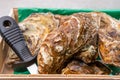 Eating of fresh big raw fine de claires vertes green french oysters from Marennes-Oleron