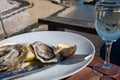 Eating of fresh live oysters at farm cafe in oyster-farming village, Arcachon bay, Cap Ferret peninsula, Bordeaux, France