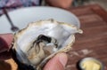 Eating of fresh live oysters with glass of white wine at farm cafe in oyster-farming village, with view on boats and water of