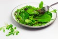 Bunch of baby green leaves on the plate. Arugula, spinach, beet, lettuce salad foliage close up. Royalty Free Stock Photo