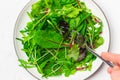 Bunch of baby green leaves on the plate top view. Arugula, spinach, beet, lettuce salad foliage close up. Royalty Free Stock Photo