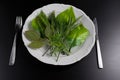 Eating grass concept. leafs on plate. Top view.