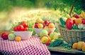 Eating healthy food - healthy diet with organic fruit and vegetable Royalty Free Stock Photo