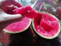 Eating Juicy watermelon summertime