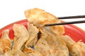Eating meat dumpling Royalty Free Stock Photo