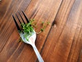 Microgreens sprouts on a fork Royalty Free Stock Photo
