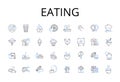 Eating line icons collection. Drinking, Feasting, Devouring, Noshing, Munching, Chomping, Grazing vector and linear