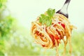 Eating Pasta Royalty Free Stock Photo