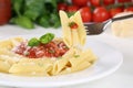 Eating Penne Rigate Napoli with tomato sauce noodles pasta meal Royalty Free Stock Photo