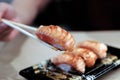 Eating Salmon Sushi Nigiri grilled smoke with chopsticks, Japanese traditional food Royalty Free Stock Photo