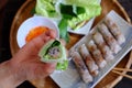 Eating spring roll pastry Royalty Free Stock Photo