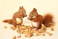 Eating squirrels Royalty Free Stock Photo