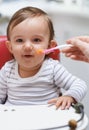 Eating, sweet and portrait of baby in chair with vegetable food for child development at home. Cute, nutrition and Royalty Free Stock Photo