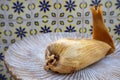 Eating Tamales in Oaxaca, Mexico. The tamal is masa filled with mole negro and chicken.