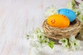 Eatster eggs in a nest Royalty Free Stock Photo