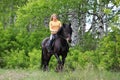 Beauty equestrian model ride a horse through a summer foresth