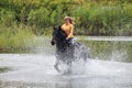 Beauty equestrian model ride a horse through a summer foresth Royalty Free Stock Photo