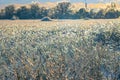 ?eautiful landscape, sunset, fields covered in snow and ice sparkle in the sunset. Royalty Free Stock Photo
