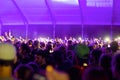 Crowds at night at Eaux Claires Festival Royalty Free Stock Photo