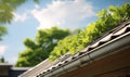 eaves of house in sunny day