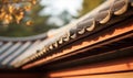 eaves of house in sunny day