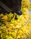Eaves and wind chimes of Chinese classical architecture Royalty Free Stock Photo