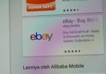 Ebay Website