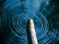 Ebb and Flow: A Aerial Glimpse of Water\'s Journey