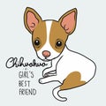 Chihuahua is girl`s best friend, Chihuahua dog cartoon illustration Royalty Free Stock Photo