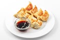 Ebi gedza hot dish, soy sauce, Japanese fried dumplings Royalty Free Stock Photo