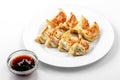 Ebi gedza hot dish, soy sauce, Japanese fried dumplings Royalty Free Stock Photo