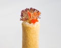 Ebi Tempura (Shrimp) Hand Roll Temaki