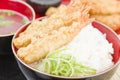 Ebi Tendon Royalty Free Stock Photo