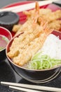 Ebi Tendon Royalty Free Stock Photo