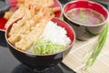 Ebi Tendon Royalty Free Stock Photo