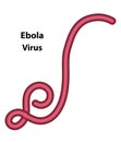 Ebola Virus as an example Royalty Free Stock Photo
