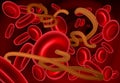 Ebola Virus and Blood Cells Royalty Free Stock Photo