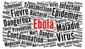 Ebola virus word cloud in french language Royalty Free Stock Photo