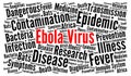 Ebola virus word cloud Royalty Free Stock Photo