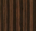 Ebony wood texture