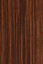 Ebony (wood texture)