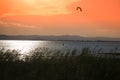 Ebro delta landscape