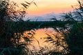 Ebro delta natural park landscape at dawn in the early morning, with river with goose and birds and rich vegetation. Warm colors Royalty Free Stock Photo