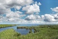 Ebro Delta wetland area with rice field against a cloudy blue sky. Empty copy space