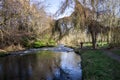 An eccentric man in tartan shirt plays on a fiddle next to Don river in Seaton Park, Aberdeen